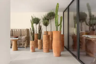 a group of vases with plants in a room at White City Limassol in Limassol