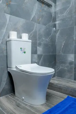 a bathroom with a toilet with two rolls of toilet paper at Olympia Flat 104 in Larnaka