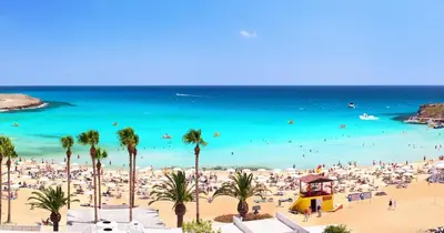 a beach with palm trees and people in the water at SPECIAL OFFER -70 Percent Off - 2 BR - Sleep 7 - Best Location at Ayia Napa City Center in Ayia Napa
