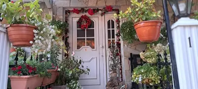 a front door with potted plants on it at Kyperounta Troodos mountain house in Limassol