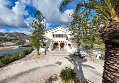 a white house with a palm tree in front of it at Great property - amazing views in Limassol