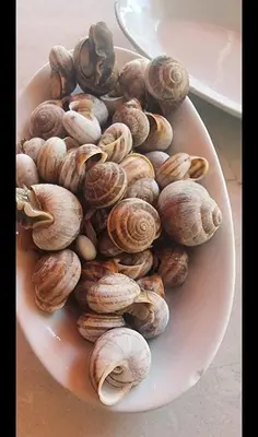 a plate of clams sitting on a table at Petalmo City Apartments in Larnaka
