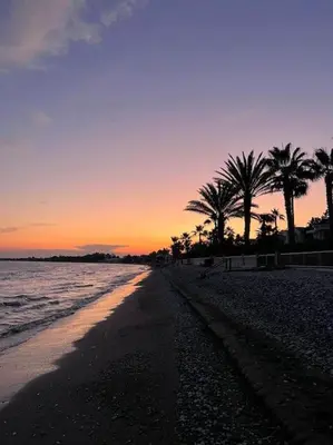 a beach with palm trees and the ocean at sunset at Beachfront villa Meneou in Meneou