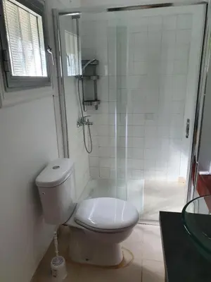 a bathroom with a white toilet and a shower at The Little House in Voroklini