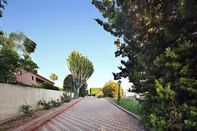 a cobblestone street in a residential neighborhood with trees at Olive Tree Apartments in Limassol