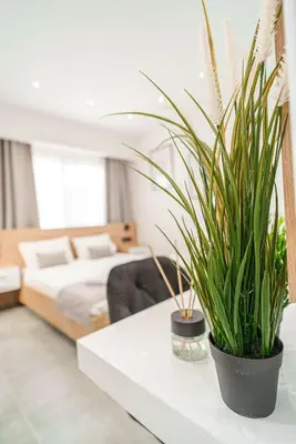 a living room with a table with a potted plant at Kition Urban Suite 2 in Larnaka