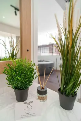 three potted plants sitting on top of a table at Kition Urban Suite 2 in Larnaka