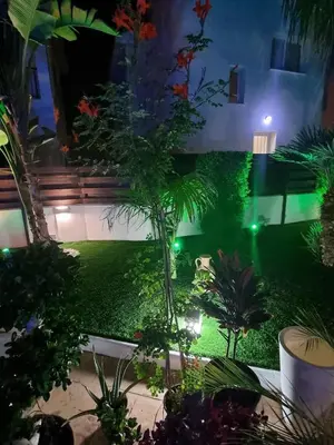 a garden at night with green lights at Villa Alexander The Great in Protaras