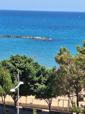 a view of a beach with trees and the ocean at Luxury one bedroom - seafront in Limassol
