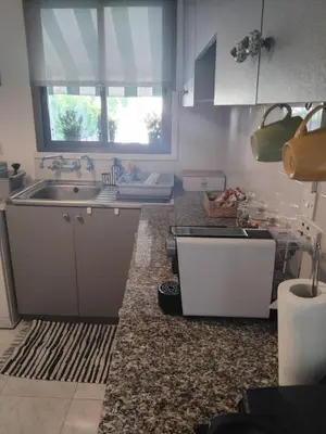 a kitchen with a sink and a counter at Irenes Apartment in Larnaka