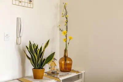 a table with a vase and a plant on it at STAY Sunflower Delight Studio in Nicosia