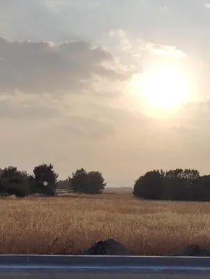 a field of grass with the sun in the sky at Sweet Home by the sea in Pyla