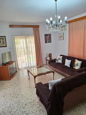 a living room with a couch and a coffee table at Grandma's House in Liopetri