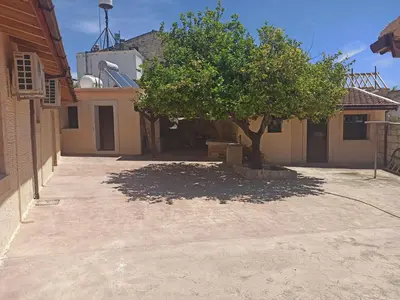 a tree sitting in the middle of a driveway at Cottage in Anogyra in Anoyira