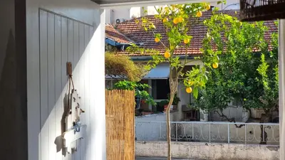 a tree with yellow fruits on it next to a building at Boho Greek Haven with Orange Grove Views Near Beach in Larnaka