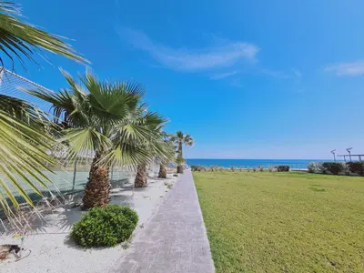a pathway with palm trees next to the beach at Coralli Privileges Apt in Protaras