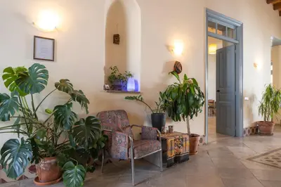 a living room with a chair and plants at ANANKE Home in Nicosia