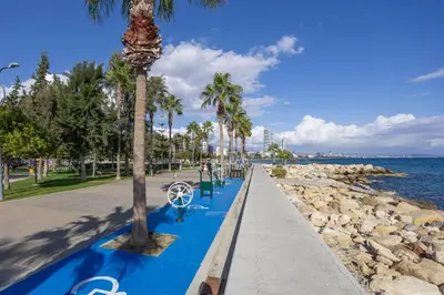 a palm tree on a sidewalk next to the water at 75 Prokymea- Steps from the Sea, Downtown, Balcony in Limassol