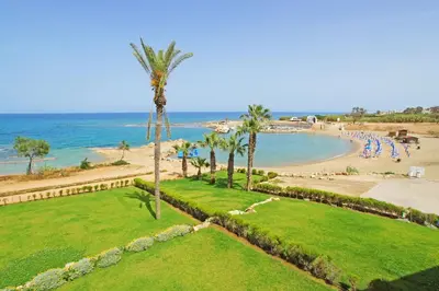 an aerial view of a beach with a palm tree at Villa Clio - 3bed All En-suite with Private Pool in Paralimni