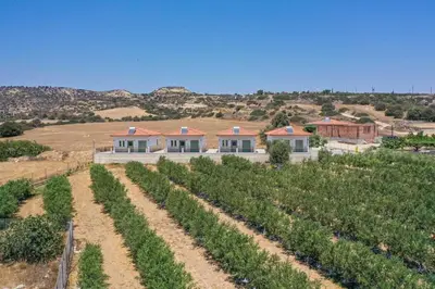 a house in a field with rows of crops at Eleonas Seaview Cottages in Alaminos