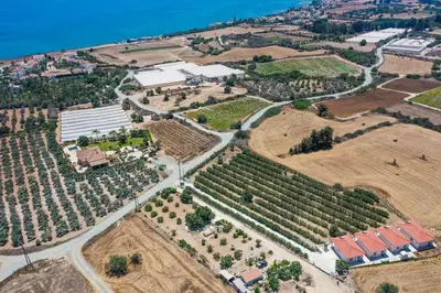 an aerial view of a vineyard in front of the ocean at Eleonas Seaview Cottages in Alaminos