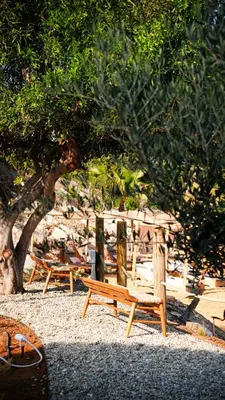 a group of benches sitting on the beach at Sirena Bay Beach House and Luxury Suites in Protaras