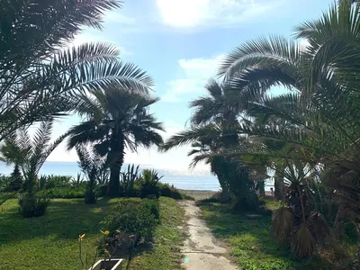 a dirt path with palm trees on the beach at Sandy Beach Villas Sea View Apartment Pyla in Larnaka