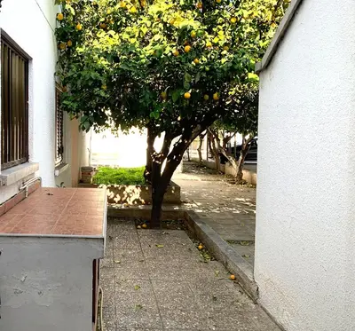 an orange tree in front of a building at Sandy Beach Villas Sea View Apartment Pyla in Larnaka