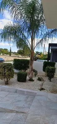 a palm tree in a landscaped yard with a building at Marios Villa in Larnaka