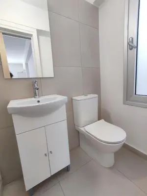 a bathroom with a toilet and a sink and a mirror at Alkinoos Studio in Nicosia
