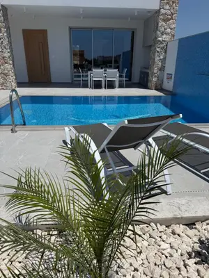a villa with a swimming pool and a palm tree at Theo luxury Napa villa in Ayia Napa