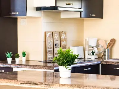 a kitchen with potted plants on the counter at Beachfront Villa with Private Pool and Exotic Fruit Garden in Pyla