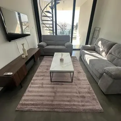 Luxurious two bedroom apartment with roof garden