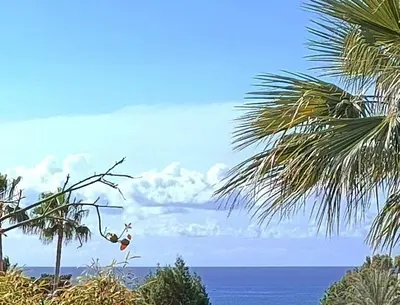 a view of the ocean from between two palm trees at Sea view Beach House with Pool in Limassol