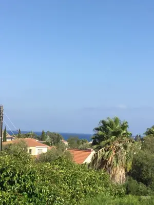 a group of palm trees in front of a house at Pissouri Beach House - Image in Pissouri