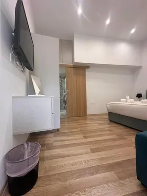 a living room with a bed and a flat screen tv at Joanna's Rooms in Kalopanayiotis