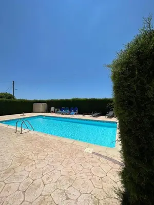 a large swimming pool next to a hedge at Bohemian Oasis in Episkopi Lemesou