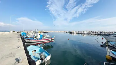 a group of boats are docked in a harbor at Seaside Larnaca Makenzie- 50m to Beach in Larnaka