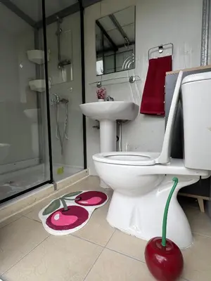 a bathroom with a white toilet and a sink at Cherry Holiday House in Khandria
