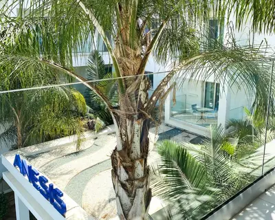 a palm tree sitting on top of a balcony at Anesis Hotel in Ayia Napa