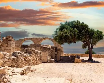 a tree in front of a building with a tree at Lydia's Sea View - 2 bed House in Episkopi Lemesou