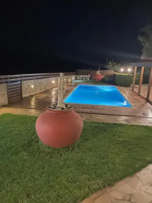 a large vase sitting on the grass next to a pool at Softades Cottage in Omodos