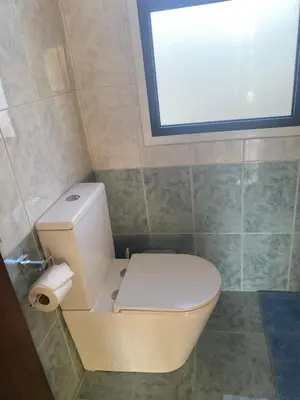 a white toilet in a bathroom with a window at A sea breeze house in Voroklini
