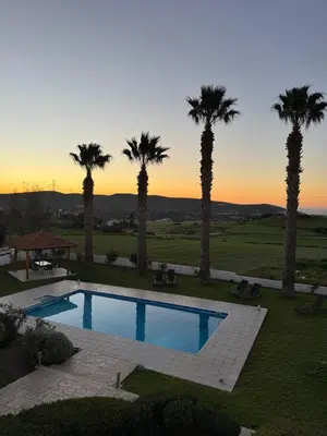 a pool with palm trees and a sunset in the background at White Cove Villa, Limassol in Pyrgos