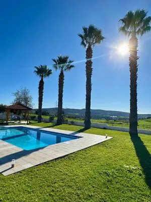 a group of palm trees next to a swimming pool at White Cove Villa, Limassol in Pyrgos