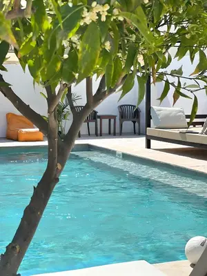 a tree next to a swimming pool with blue water at The Colonial in Larnaka