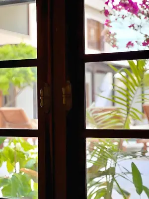 a close up of a window looking out at a plant at The Colonial in Larnaka