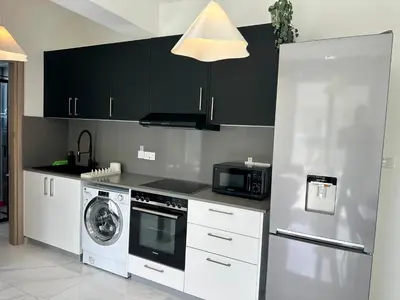 a kitchen with black cabinets and a washer and dryer at New 1 bedroom flat in Aglatzia in Aglantzia