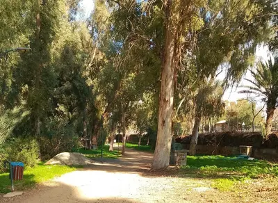 a path in a park with a bunch of trees at alfarome60 in Nicosia