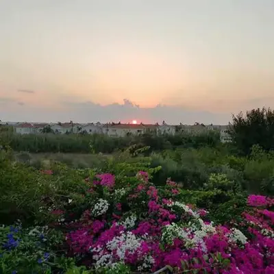 Little Paradise